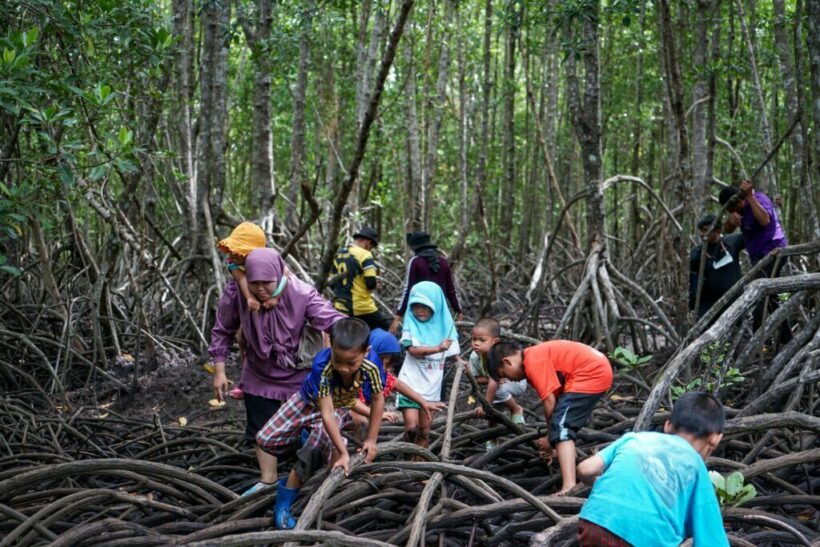 Ao Kung gets green light for marina despite opposition | News by Thaiger