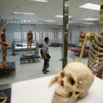 Bangkok&#8217;s most famous gruesome museum | Thaiger