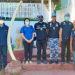 Man claims he thought illegal whale bones were wood | Thaiger