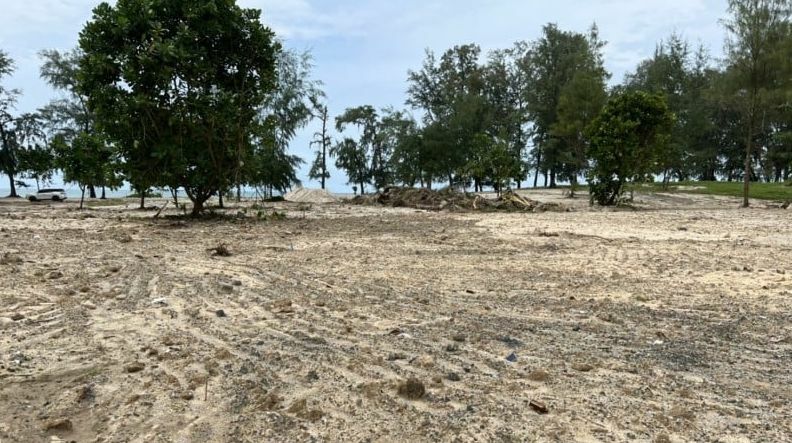 Mass tree-planting planned for Phuket beach after illegal structures removed