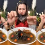 Police arrest bat-eating YouTuber in northeast Thailand | Thaiger