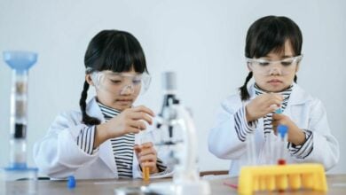 International schools in Chiang Mai offering the best education | Thaiger