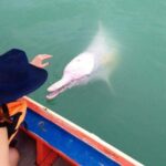 The three best things about staying in Khanom | Thaiger