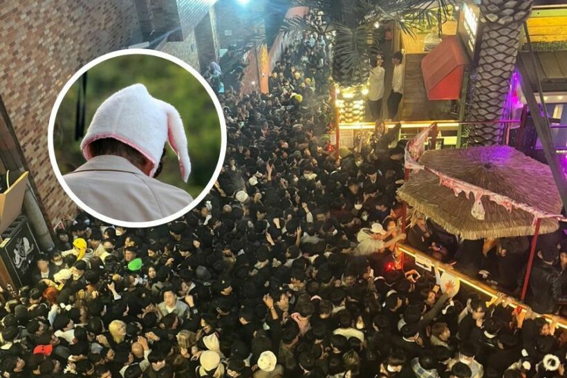 Man in bunny ears blamed for Halloween stampede in Seoul
