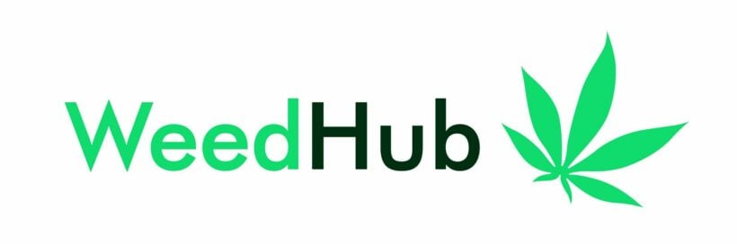 WeedHub cannabis Thailand 