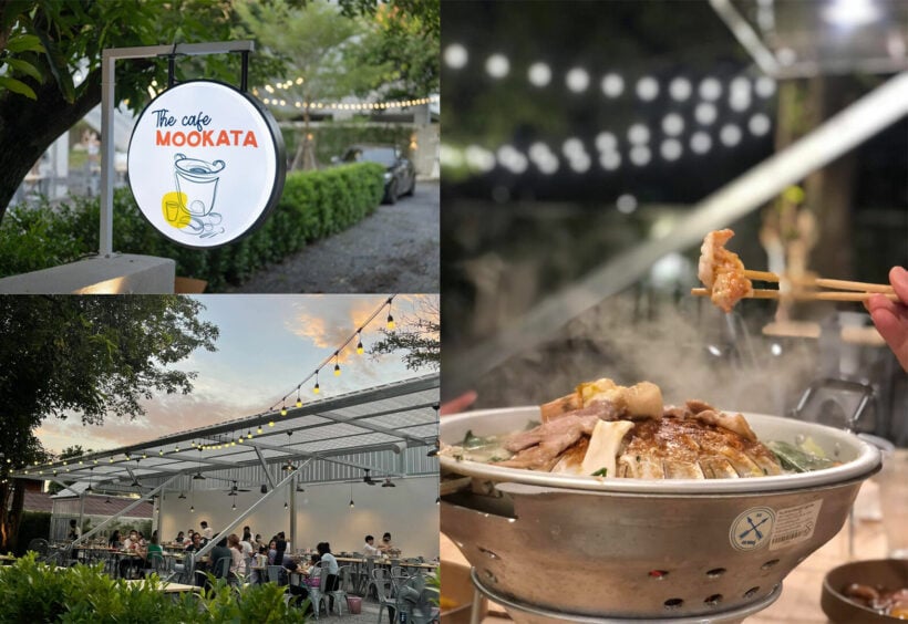 Review "The Cafe Moo Kratha Ari" welcomes the cool breeze. | News by Thaiger