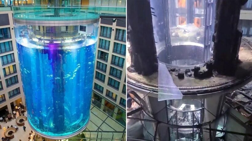 Largest cylindrical free-standing aquarium in the world bursts