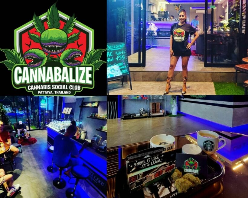 Where you can get high-quality cannabis in Pattaya | News by Thaiger