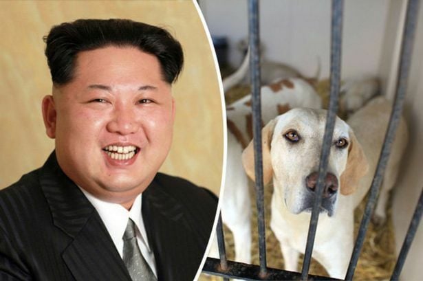 Curse of Kim Jong-un’s dogs haunts peninsular politics