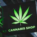 Where you can get high-quality cannabis in Pattaya | Thaiger