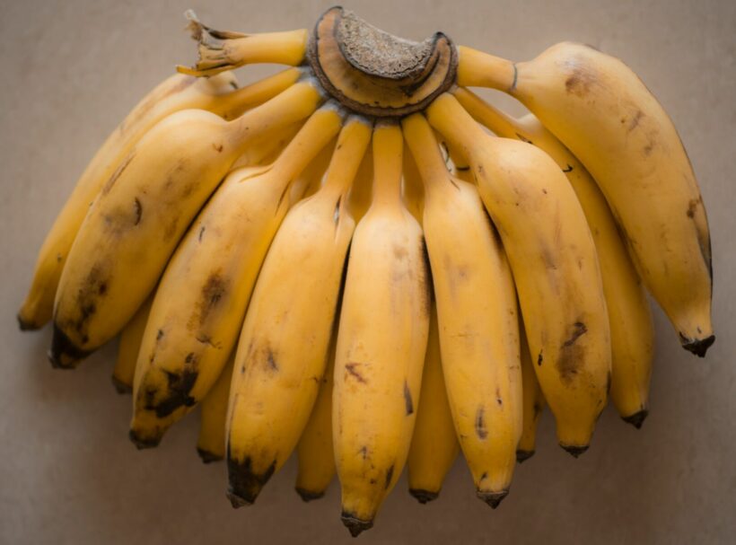 wife accidentally orders 9 bunches of bananas. Naturally, your