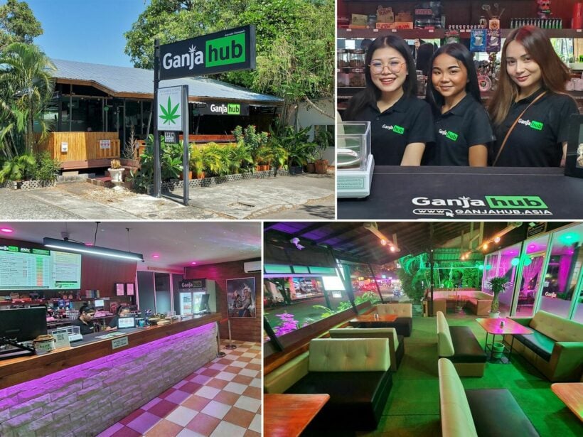 Where you can get high-quality cannabis in Pattaya | News by Thaiger