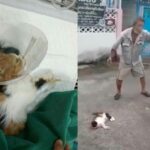 Cat killer feels no guilt over sadistic act | Thaiger