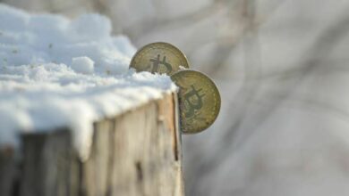 Frozen assets await crypto-thaw that may never come