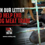 Man bites dog: Dog-eating Thai man gets three months | Thaiger