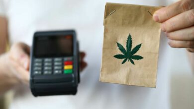 Where you can get cannabis in Bangkok | Thaiger