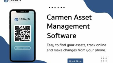 Carmen Software Co. Ltd. launches new Cloud Version and Vietnamese Version of Accounting Software | Thaiger