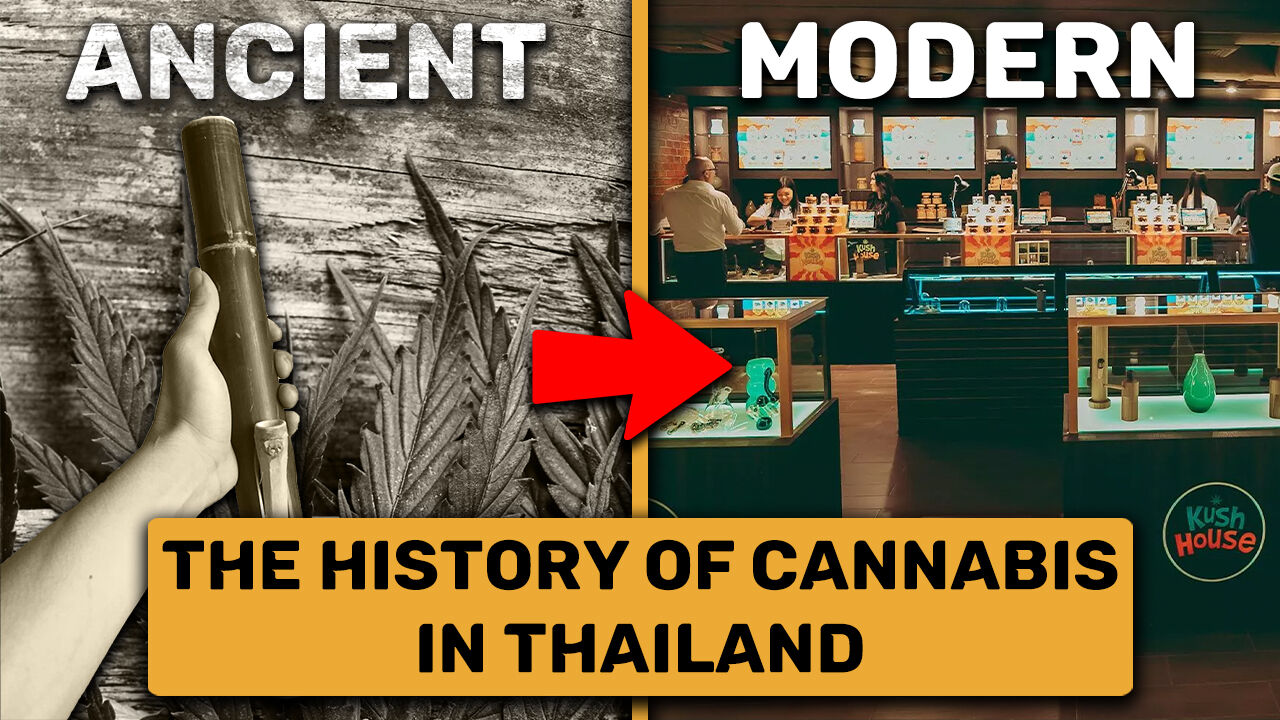 From Ancient to Modern: The Cannabis Tale of Thailand