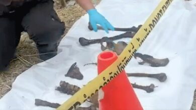 Human bones found in rural area of Bangkok