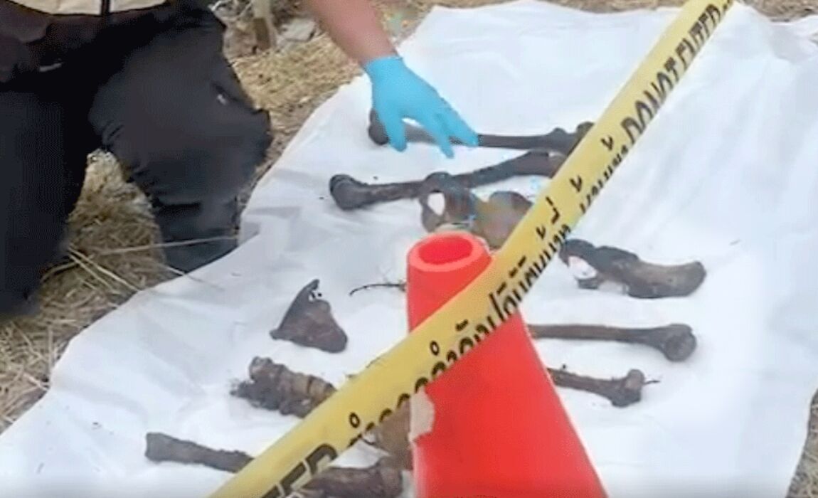 Human bones found in rural area of Bangkok