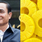 PM Prayut proud of Thailand&#8217;s pineapples | Thaiger