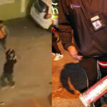 Bolt vs Win motorbike taxi gang violence continues in Pattaya | Thaiger