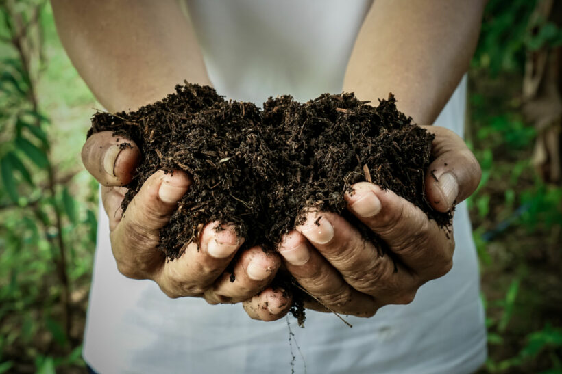 New York approves composting of human bodies