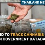 Thailand to track cannabis users in government database | Thailand News Today | Thaiger