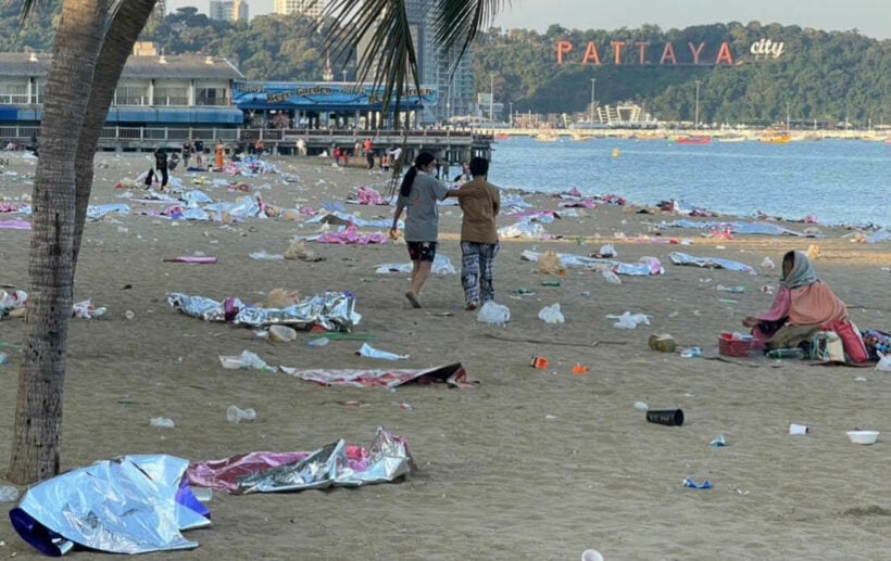 Pattaya reveals ugly side of Sin City: rats, rubbish, & rat-arsed | News by Thaiger