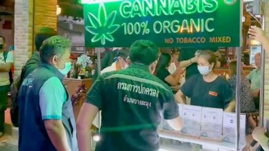 Police close unlicensed cannabis stalls in Pattaya | Thaiger