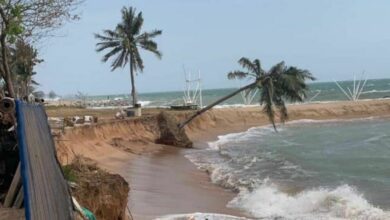 Huge waves in the southern Thai sea destroys beach and 200 palm trees