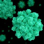 Officials warn those in Thailand&#8217;s northeastern province of Chaiyaphum of Norovirus | Thaiger