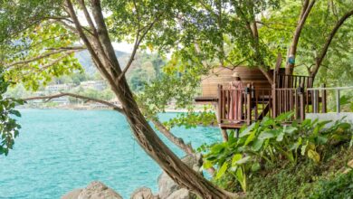 The TreePods at Amari Phuket: A private haven suspended among lush trees