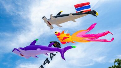 Kite Festival on the Beach returns to Pattaya from February 24-28 | Thaiger