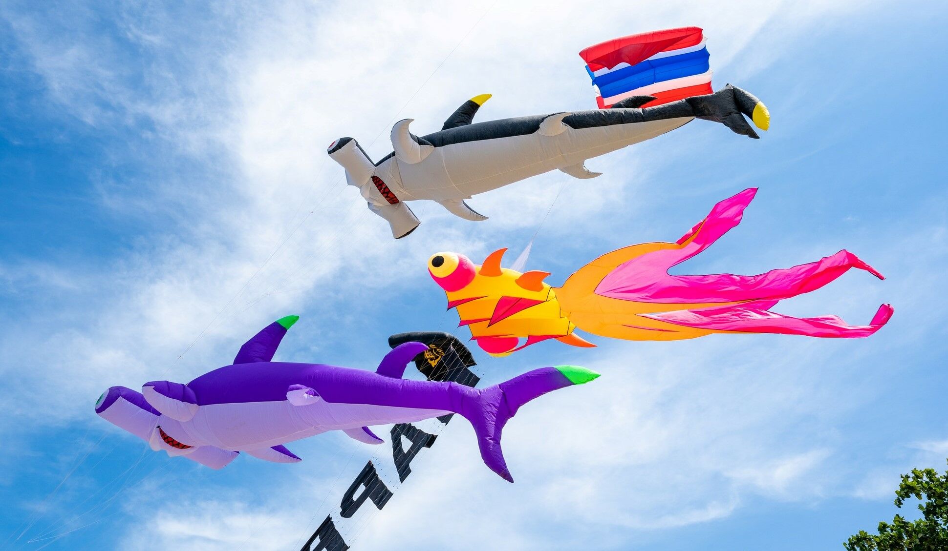 Kite Festival on the Beach returns to Pattaya from February 24-28 | Thaiger