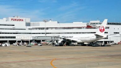 2-hour flight becomes 16-hour nightmare in Japan