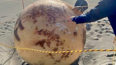 Metal sphere dubbed ‘Godzilla Egg’ washed onto Japanese beach