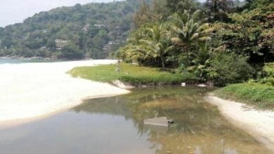 Phuket officials respond to black water at beach | Thaiger