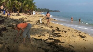 Russian tourists lend a hand by cleaning Koh Samui beach | Thaiger