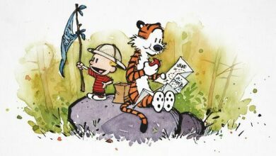 Calvin and Hobbes author comes out of his shell | Thaiger