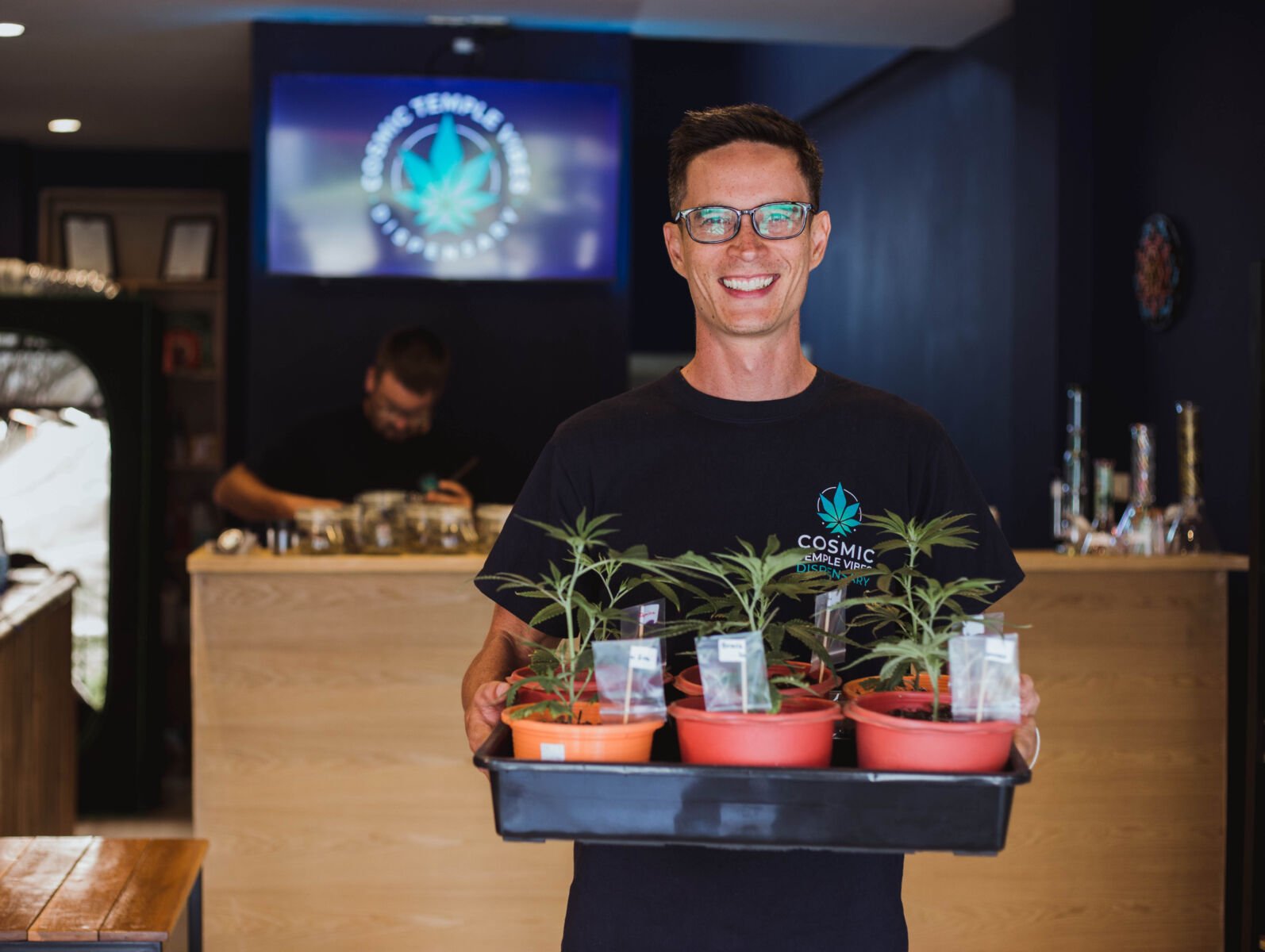 Where to find the best cannabis in Phuket