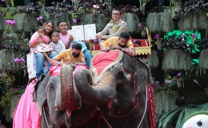 Nearly 100 Pattaya couples register marriages while riding elephants on Valentine’s Day