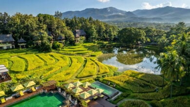 Tropical tranquility: The best hotels in Thailand for a luxurious escape