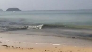Phuket residents call on authorities to investigate black water at beach | Thaiger