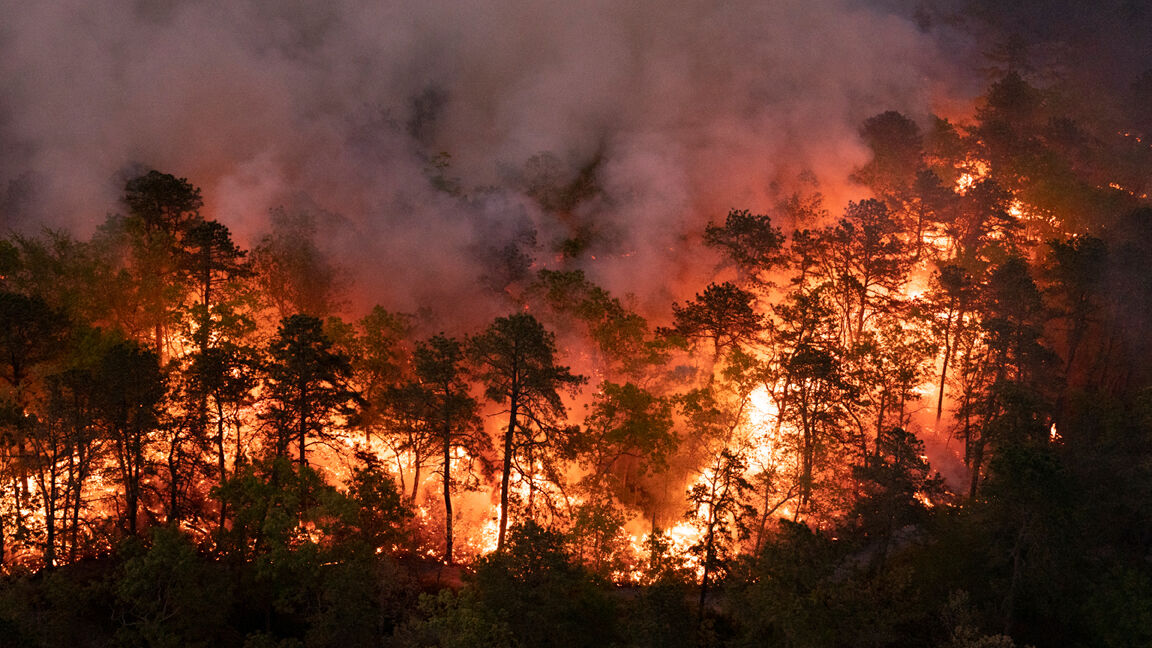 Parks and sanctuaries closed by fire in N.Thailand