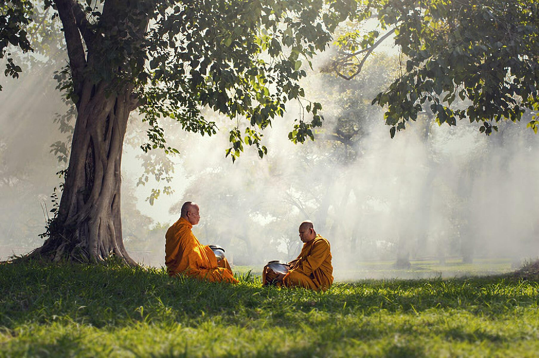 Discover inner peace at the best temples for meditation retreat in Thailand