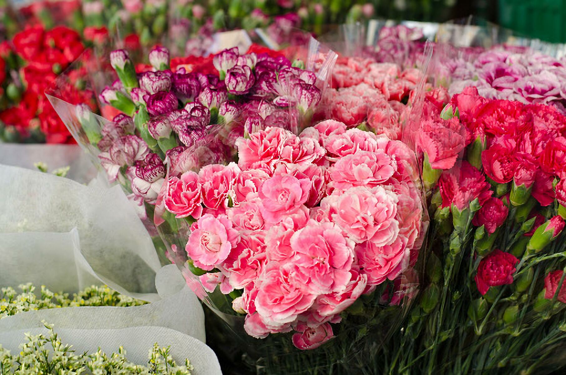 Valentine's Day Thailand