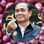 Give your lover shallots this Valentine&#8217;s Day, suggests PM Prayut | Thaiger