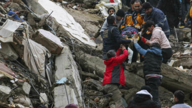 Turkey, Syria earthquake death toll nears 8,000