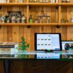 10 strains to try in Thailand&#8217;s booming cannabis scene | Thaiger